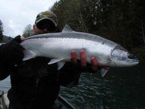 A nice Oregon winter steelhead!